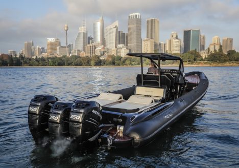 Ribco © Salty Dingo 2018